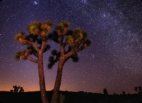 Stargazing