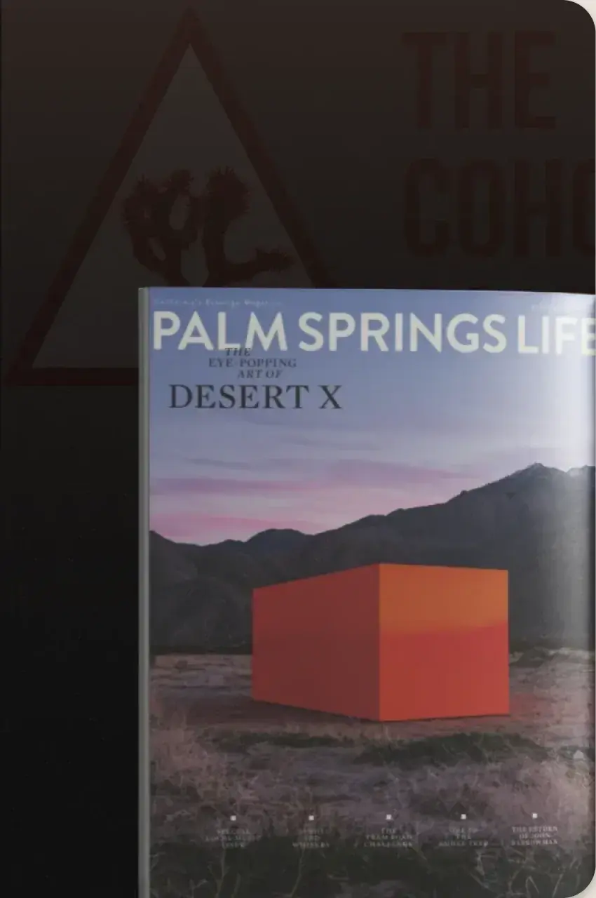 Palm Springs Life feature: The High Desert Airbnb Game